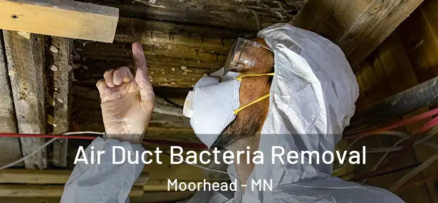 Air Duct Bacteria Removal Moorhead - MN