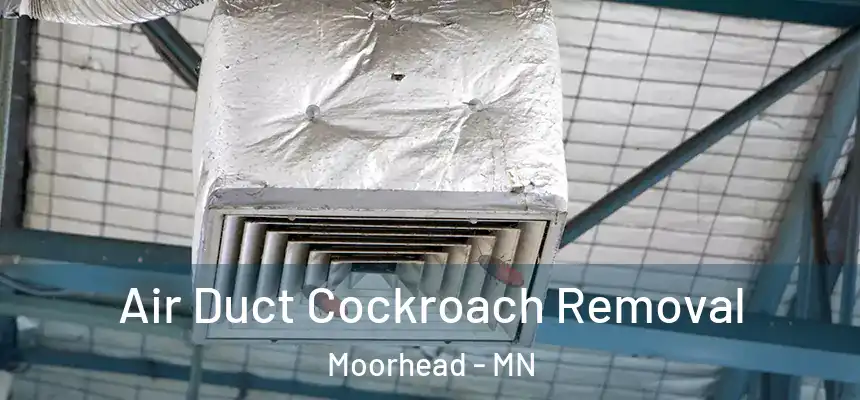  Air Duct Cockroach Removal Moorhead - MN