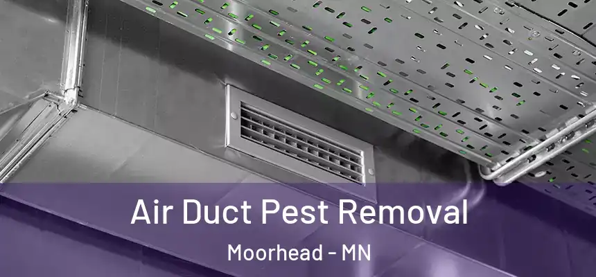  Air Duct Pest Removal Moorhead - MN
