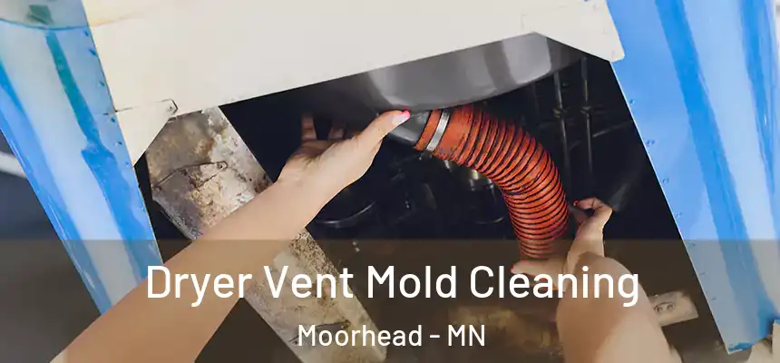  Dryer Vent Mold Cleaning Moorhead - MN