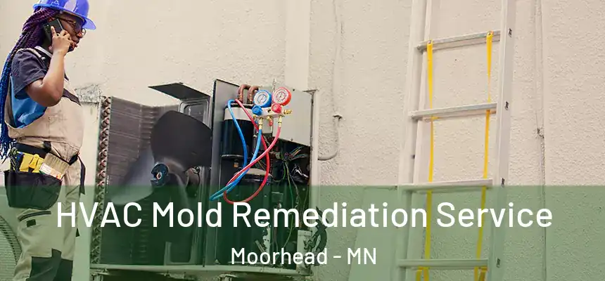  HVAC Mold Remediation Service Moorhead - MN