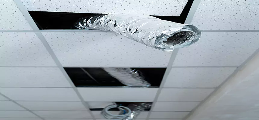 Our Air Duct Pet Hair Removal Services in Moorhead, MN