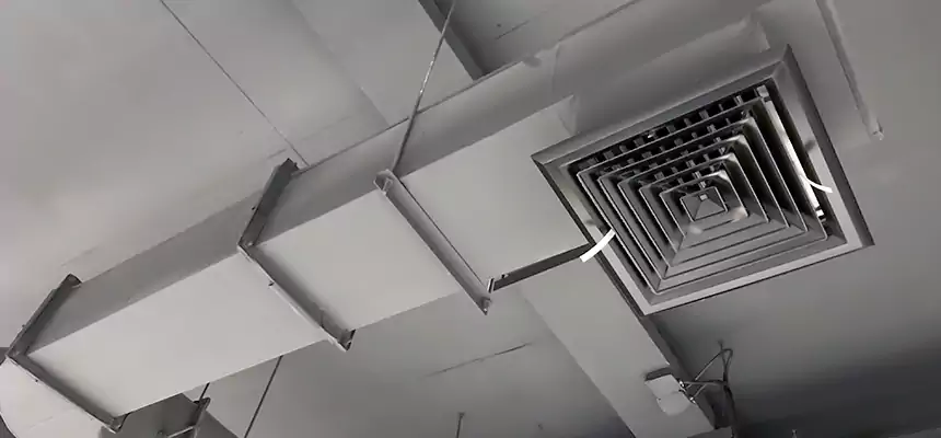 Our Pest Removal From Ducts Services in Moorhead, MN