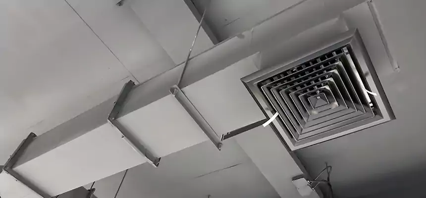 Our Rodent Droppings In Vents Services in Moorhead, MN