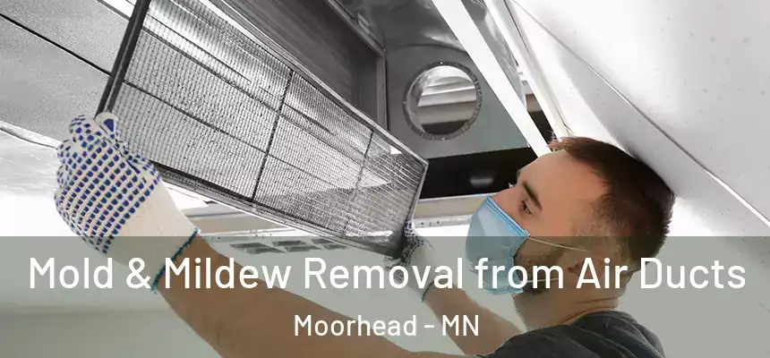  Mold & Mildew Removal from Air Ducts Moorhead - MN