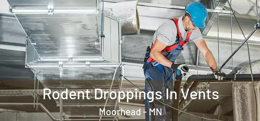  Rodent Droppings In Vents Moorhead - MN