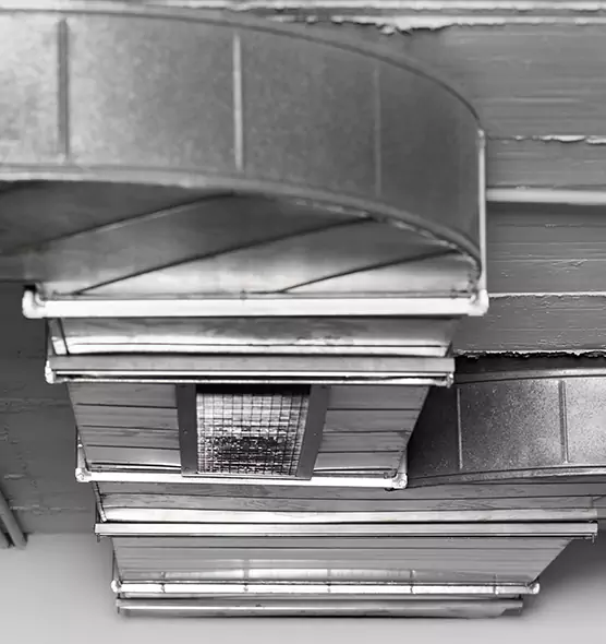 Professional Air Duct Pest Removal in Moorhead, MN