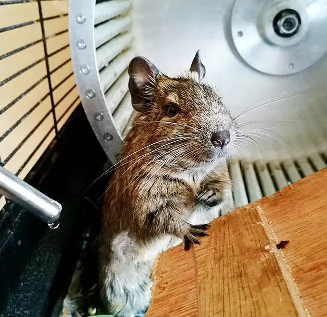 Why Homeowners & Businesses Trust Us Moorhead, MN